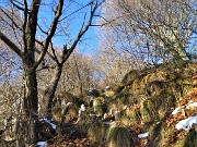 47 In decisa-ripida salita per il Monte Poieto